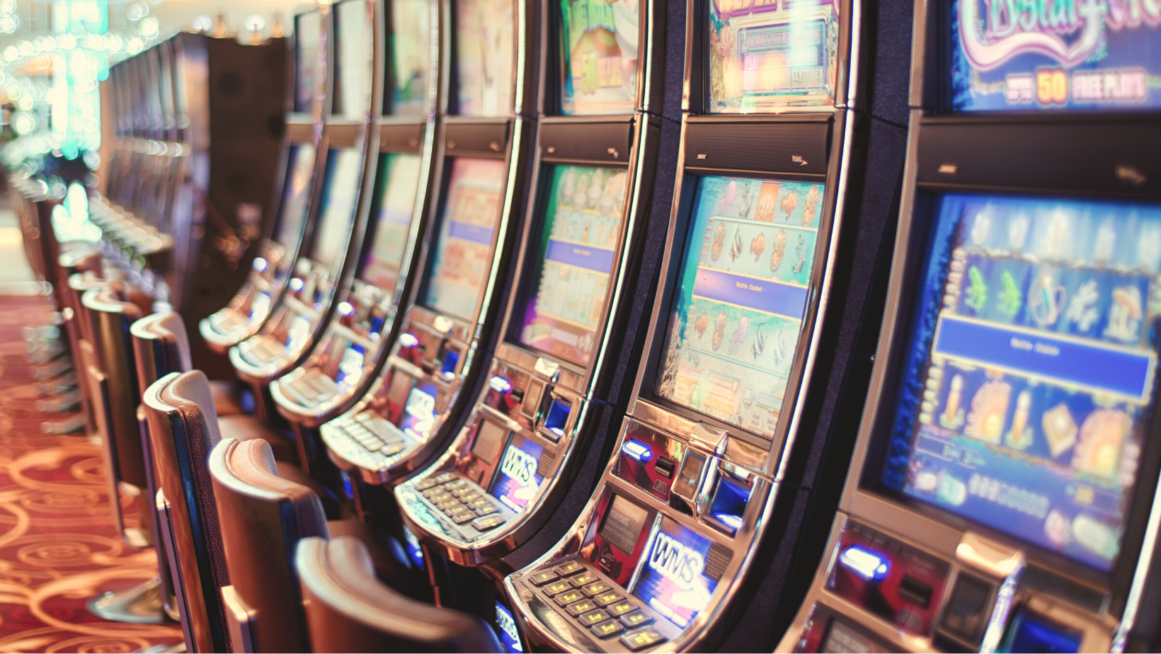 מכונות הימורים בבטומי.קזינו. חופשה בבטומי מכונות הימורים בבטומי.קזינו. חופשה בבטומי