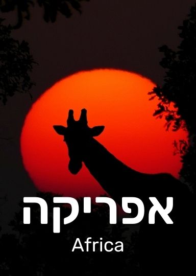 תמונה של גירפה על רקע שקיעה בסוואנה.