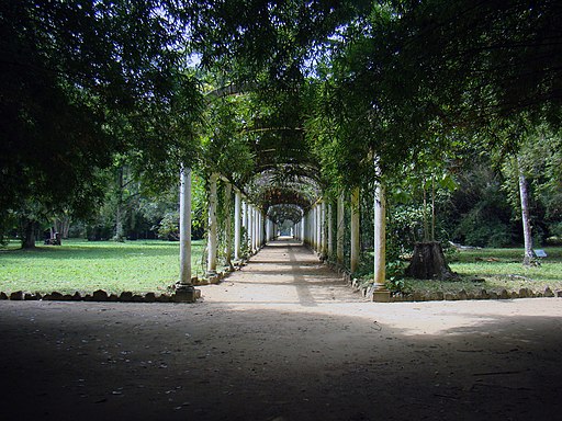 הגן הבוטני בריו דה ז'נרות .מה לעשות בריו דה ז'ניירו ברזיל.
