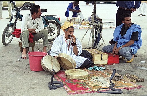 מופע נחשים בשוק געמה אל פונה