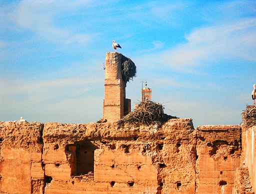 שרידי ארמון אל באדי במרקש
