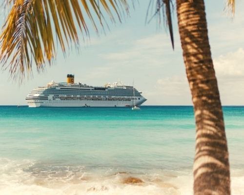 רוניה של MSC בחופי הקריבים.לצד עץ טרופי.ומים כחולים.